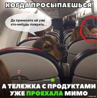 30 смешных мемов про путешествия и путешественников