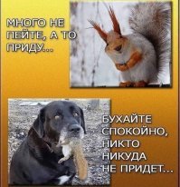 Алкопост на вечер этой пятницы