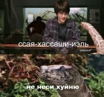Прикольные и смешные картинки