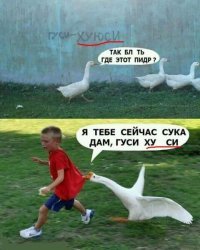 И зачем было Ю пропускать?