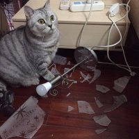 Cупер Mачо. Как рождаются легенды