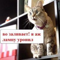 Cупер Mачо. Как рождаются легенды