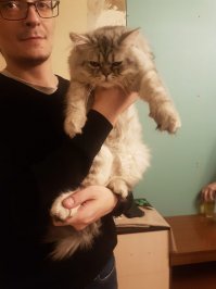 С добрым утром!