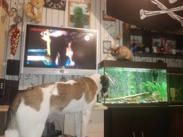Мы искупались и теперь сушимся в разных местах, но мы дружим=)