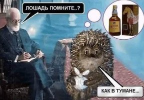Ученые пообещали аномальное северное сияние в эти выходные