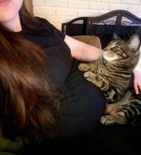 Дополню по поводу этого фото. У моей тёти был кот. У меня аллергия на котов с рождения. Очень сильная. Никогда его не трогала, когда бывала в гостях. Сидели на кухне при открытых окнах. Кот и сам никогда не лез ко мне. Вообще очень умный был. И вот заехала я к тёте, когда была на 6 или 7 месяце беременности. Мало того, что кот очень уверенно и прямо целенаправленно подошёл к нам и уселся на моих коленях, он стал тереться о мой живот, мурчать так громко, что заглушал наш разговор. И самое удивительное, что никакой аллергической реакции у меня не было. Я провела весь день в доме тёти и кот просто не отходил от меня, требуя взять на ручки. Мы были крайне поражены. Я даже надеялась на чудо, что аллергия моя отменилась. Но... чудо было временным. После родов всё вернулось и кот так же держал расстояние. До сих пор мы вспоминаем этот случай и не находим ему объяснения.