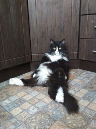 Вот "я не знаю...":