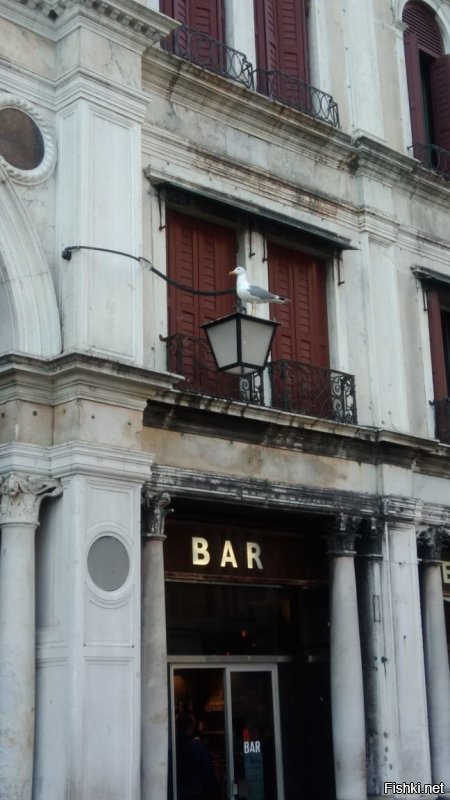 Вчера только с женой вернулись из Венеции.
Очень грязно на улицах, много черных мигрантов, карманников, обшарпанные дома с грибком и плесенью, буквально по всюду запах тухлятины и запах канализации, окна в номере не открыть, потому что вся эта вонь из воды тянет внутрь. В каждой гостинице стоят очистители воздуха и мощная вентиляция, но это не очень помогает.