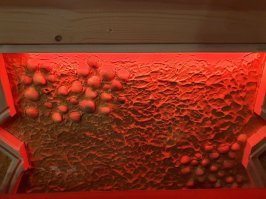 вот так, взял кучу оставшегося витонита, нанес, потом пакетом тык тык, ракушки в не застывший витонит суем потом подстветка и все.