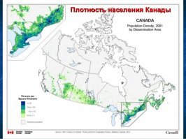 Прикольные и смешные картинки