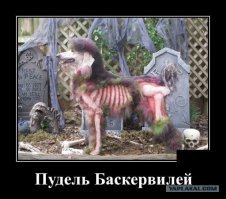 20 дурацких идей горе-дизайнеров, обернувшихся настоящим провалом