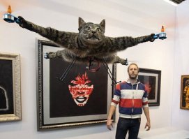 Вот правильный
