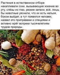 Наоборот культивировал для более сильного вкуса!