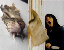 Свежая подборка демотиваторов, которые поднимут вам настроение