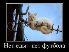 Демотивируй