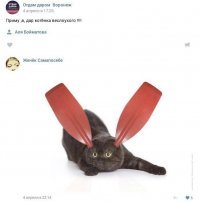 Скрины из социальных сетей