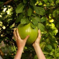 Картинки с надписями для настроения