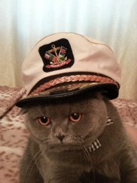 такая же фигня была