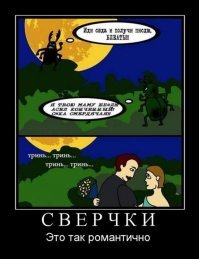 Прикольные и смешные картинки