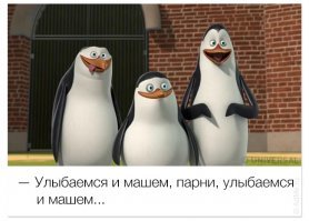 Прикольные и смешные картинки