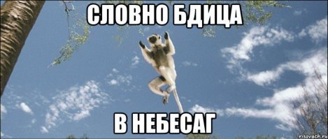 Прикольные и смешные картинки