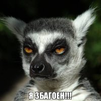 Одно успокаивает: