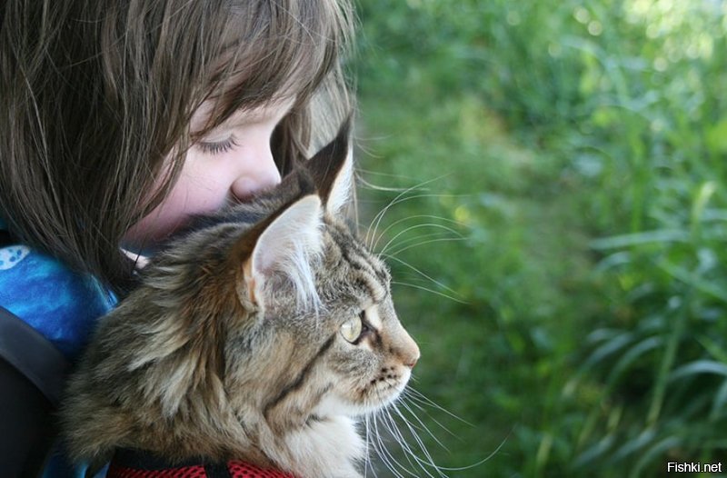 В натуре всё-таки лучше смотрится. Хотя написано оригинально.