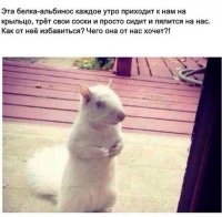 Что она от нас хочет?