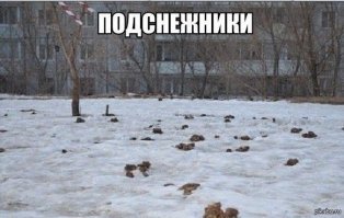 С весной пришла и вонь