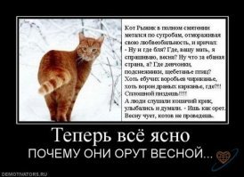 Прикольные и смешные картинки