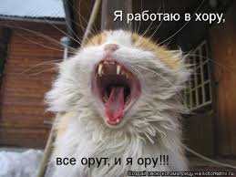 Прикольные и смешные картинки