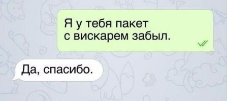 15 уморительных сообщений, которые могли написать друг другу только друзья