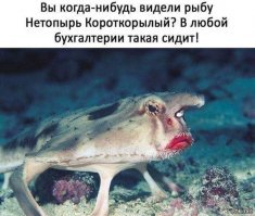 Картинки с надписями
