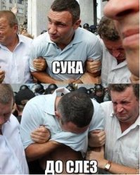 Глупые цитаты известных людей