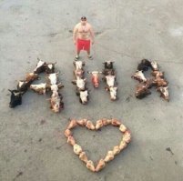 Не моё