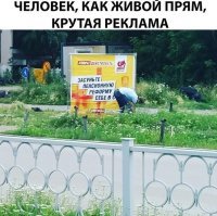 О!! Знакомый забор.