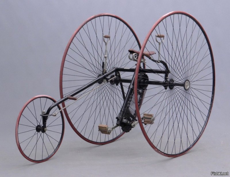 Безумие? Что вы знаете о безумии..