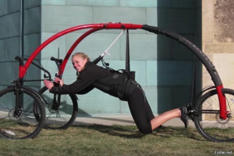 Безумие? Что вы знаете о безумии..