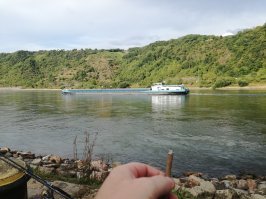 Да мне и палатка хватит, Рейн Германия!