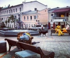 Это Владивосток?