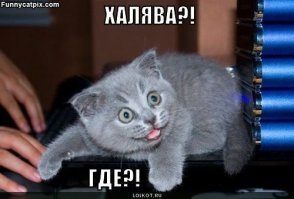 Второе видео-фейк.
