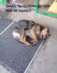Фотоподборка за 27.03.2019