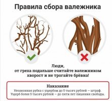 Так на всякий случай)