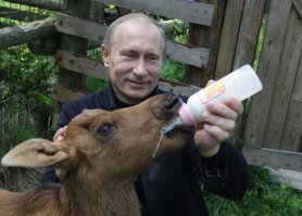 где в посте хвала всея благодетелю России?