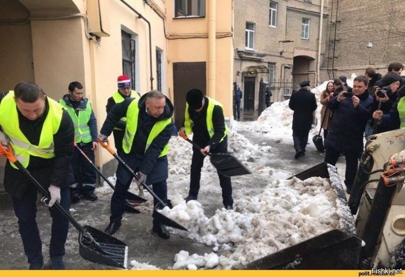 Забавных животных, которых сфотографировали в идеальный момент