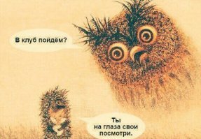 Парень подмешал ЛСД в напитки коллег для позитивного настроя