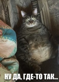 10 знаменитых актеров, которые растолстели до неузнаваемости