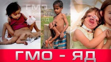 О том, почему же люди боятся ГМО