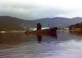 Остров Русский (Владивосток). Часть 1: Кампус