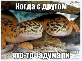 Фотоподборка за 28.03.2019